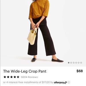 Everlane Wide Leg Crop Pant